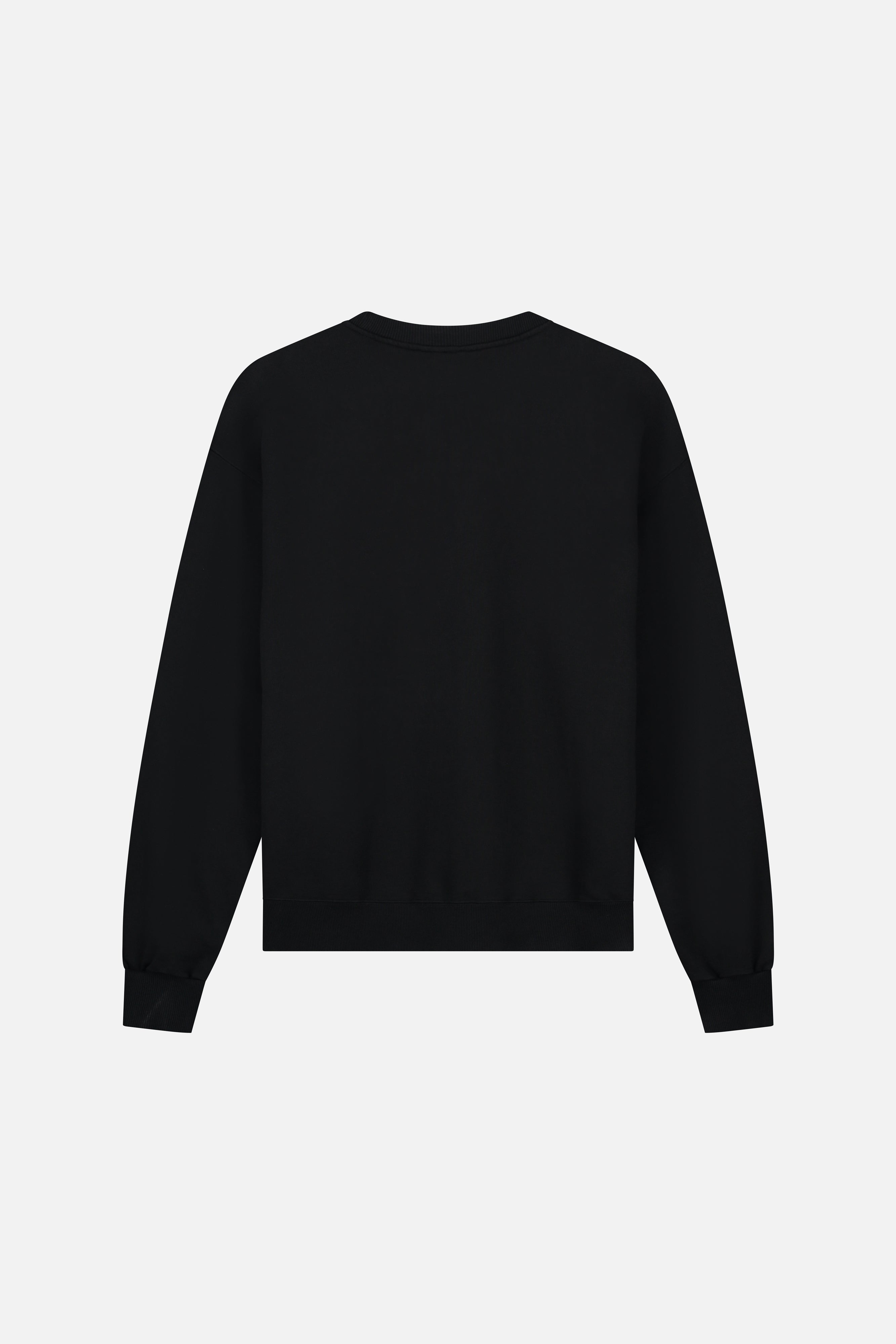 GRAPHICON FRONT SWEATSHIRT